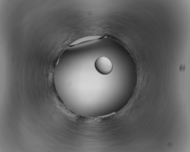 X0000113250576200909241614