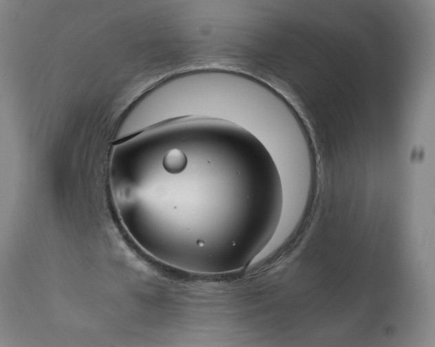 X0000113250577200909241613