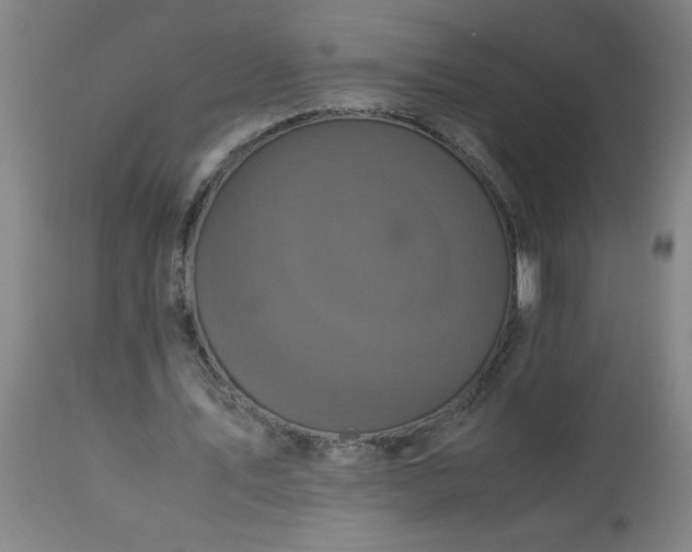 X0000113250579200909241613