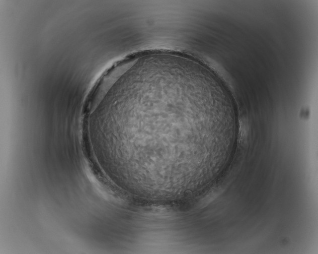 X0000113250580200909241613