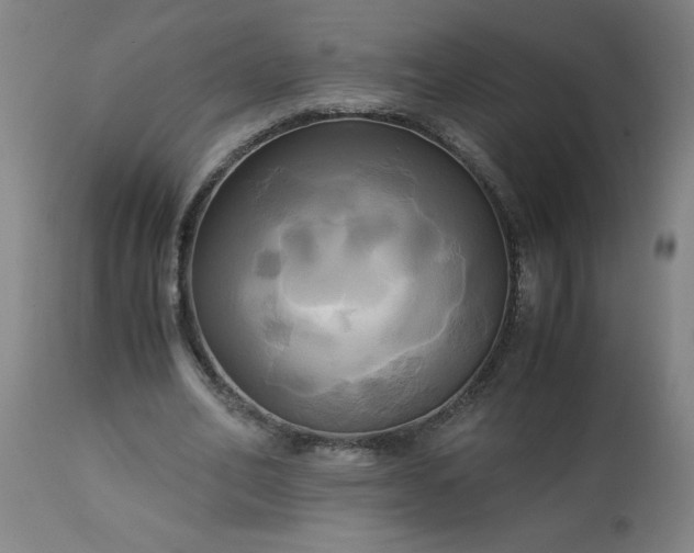 X0000113250582200909241613