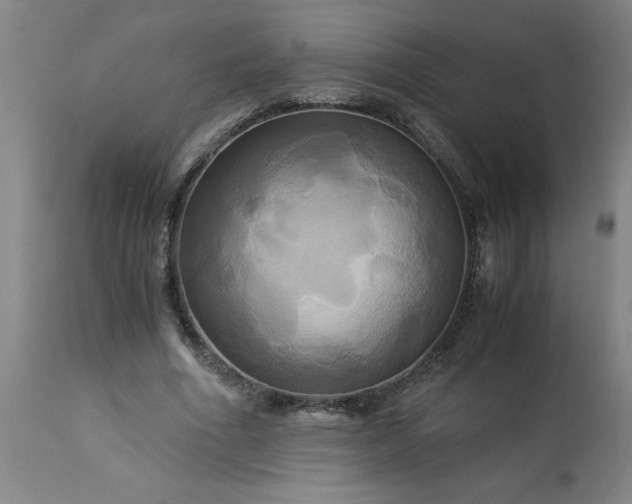 X0000113250586200909241613