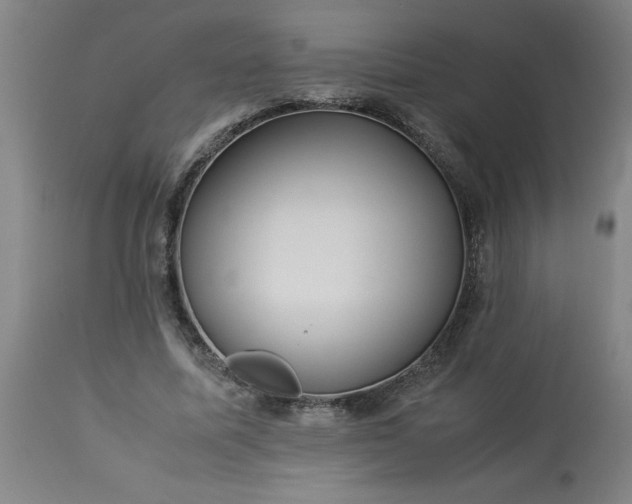 X0000113250587200909241613