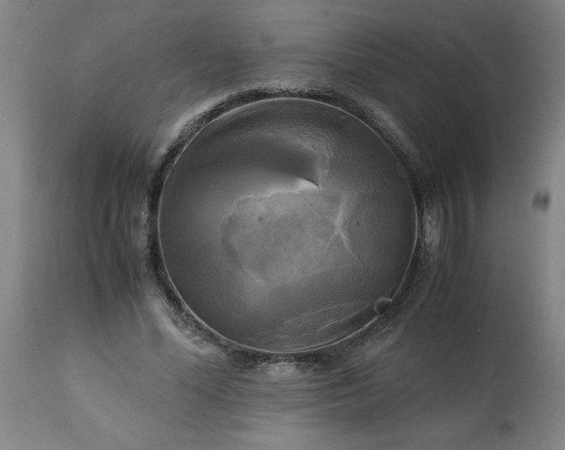 X0000113250588200909241613