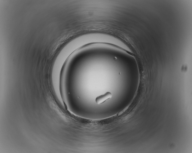 X0000113250589200909241613