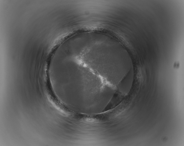 X0000113250590200909241613