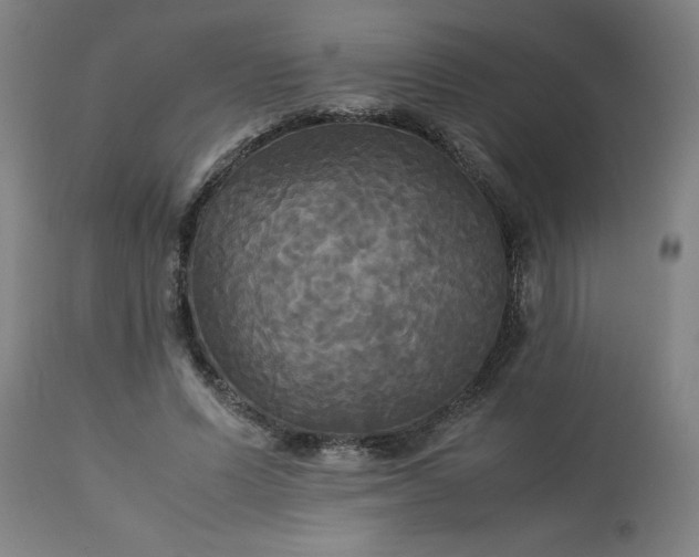 X0000113250591200909241613