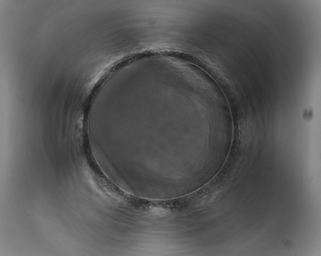 X0000113250592200909241613