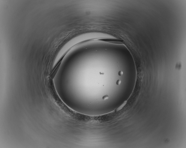 X0000113250593200909241613