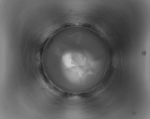 X0000113250594200909241613