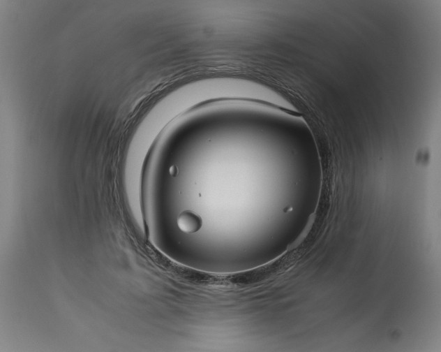 X0000113250595200909241613