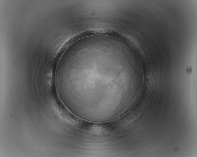 X0000113250596200909241613