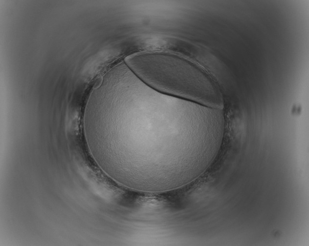 X0000113250597200909241613