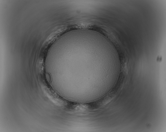 X0000113250599200909241613