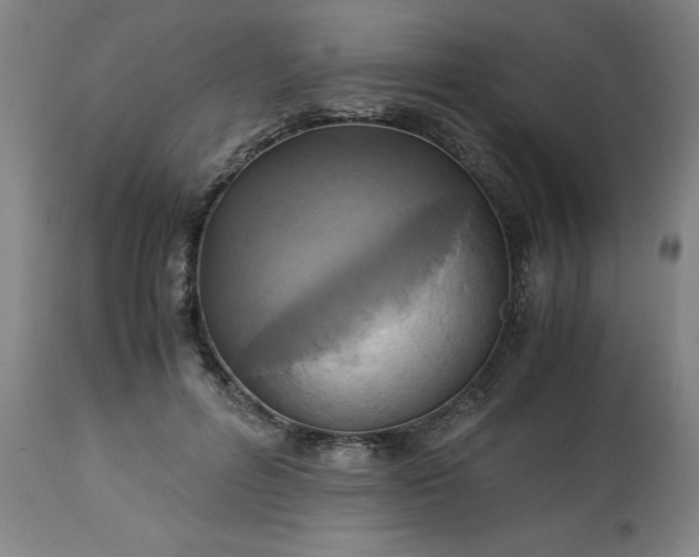 X0000113250600200909241613