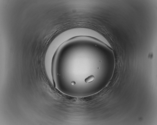 X0000113250601200909241613