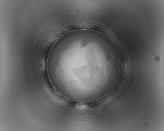 X0000113250602200909241613