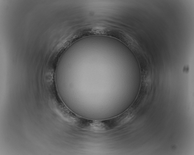 X0000113250603200909241613