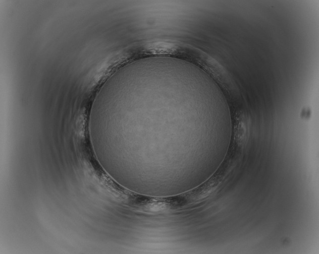 X0000113250604200909241613