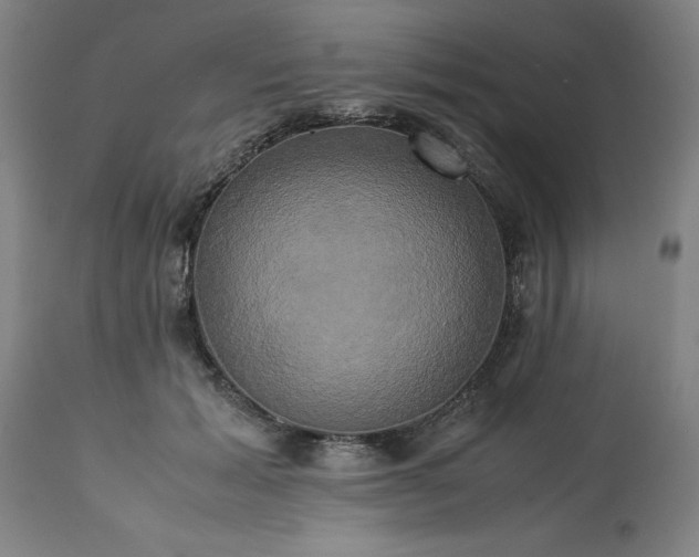 X0000113250605200909241613