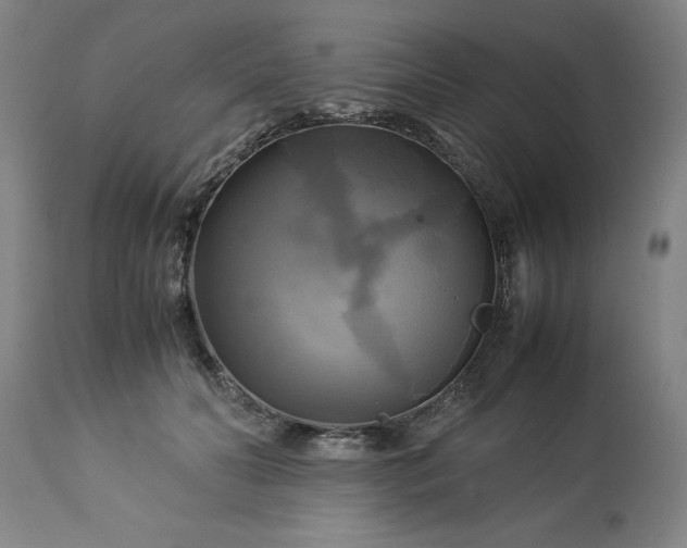 X0000113250606200909241613