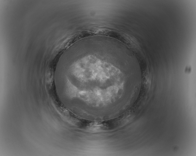 X0000113250607200909241613