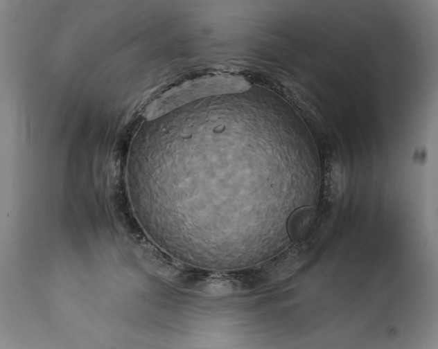 X0000113250608200909241613