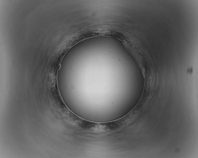 X0000113250609200909241613