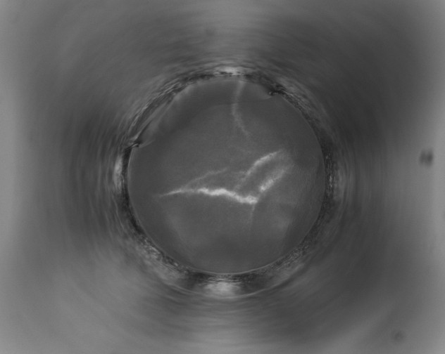 X0000113250610200909241613