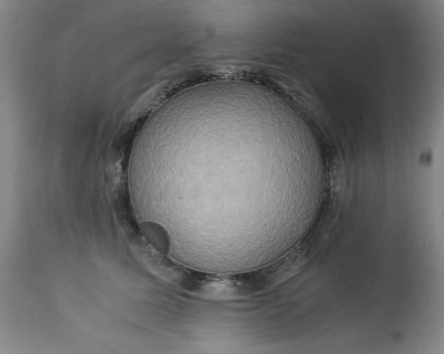 X0000113250611200909241613