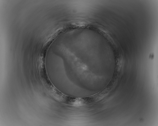 X0000113250612200909241613