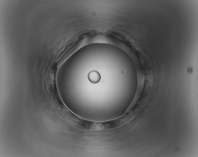 X0000113250613200909241613