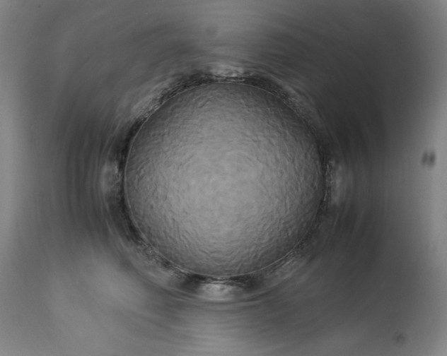 X0000113250614200909241613