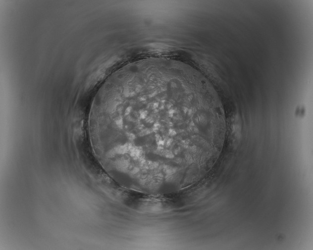 X0000113250615200909241613