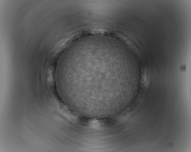 X0000113250616200909241613