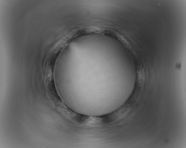 X0000113250617200909241613