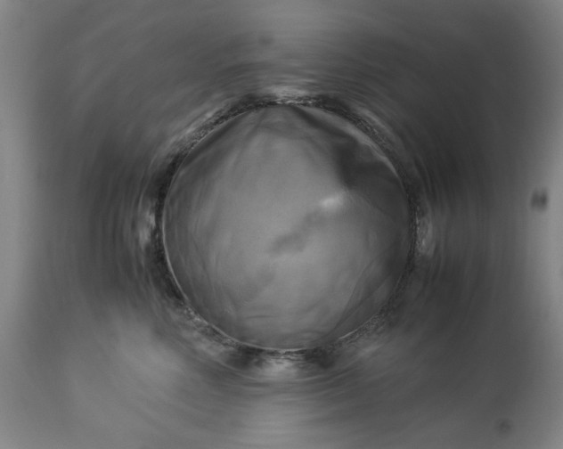 X0000113250618200909241613