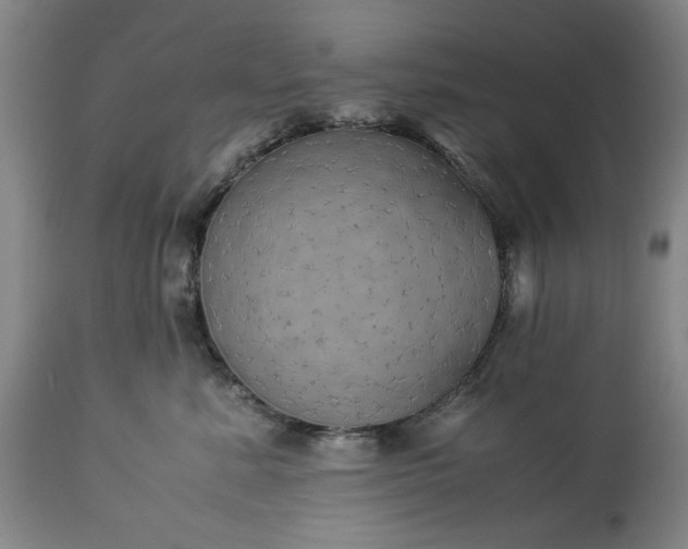 X0000113250619200909241613