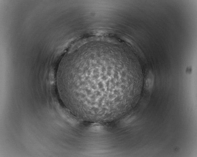 X0000113250620200909241613