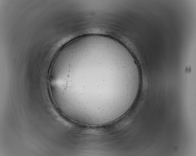 X0000113250625200909241612