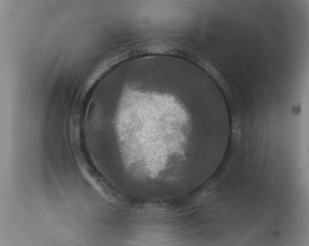 X0000113250626200909241612