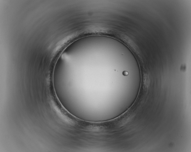 X0000113250629200909241612