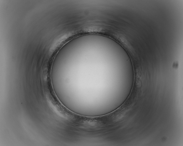 X0000113250631200909241612