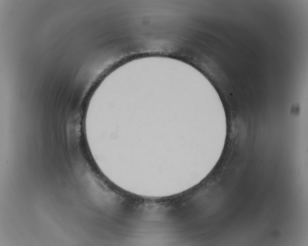 X0000113250632200909241612