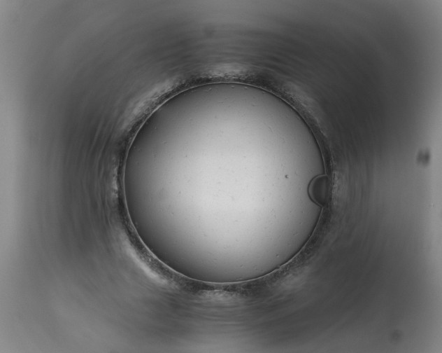 X0000113250633200909241612