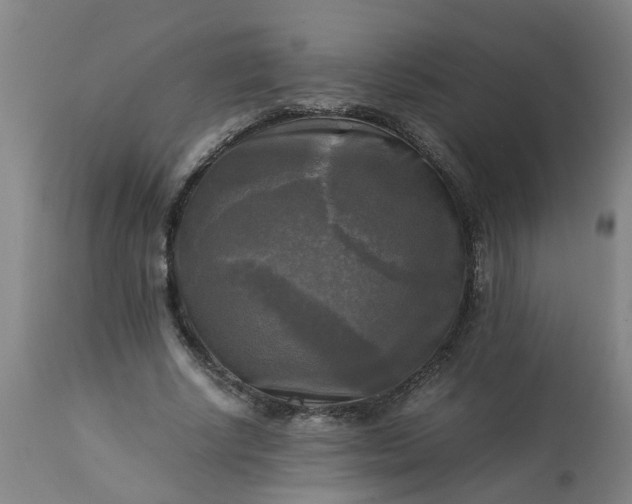 X0000113250634200909241612