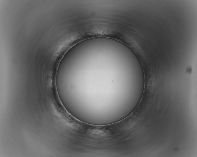 X0000113250635200909241612