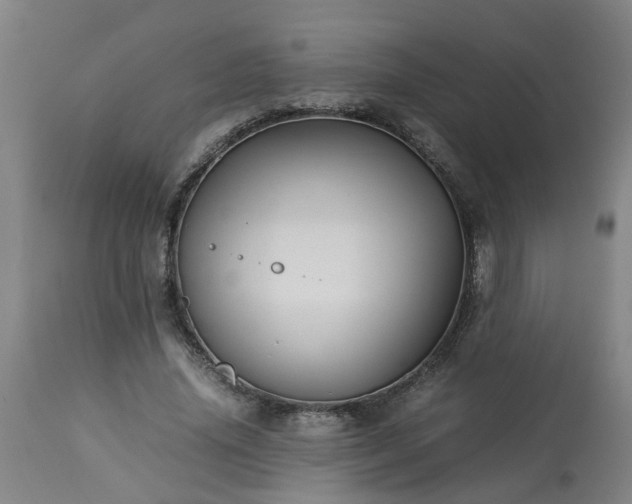 X0000113250636200909241612