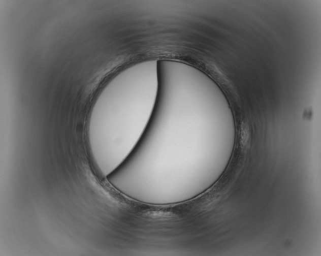 X0000113250637200909241612