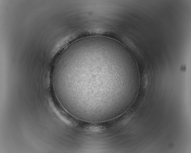 X0000113250638200909241612